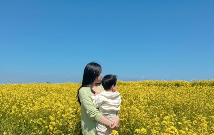 18개월 아기랑 제주도 여행 2 (가파도/ 선채향/ 새별프렌즈...
