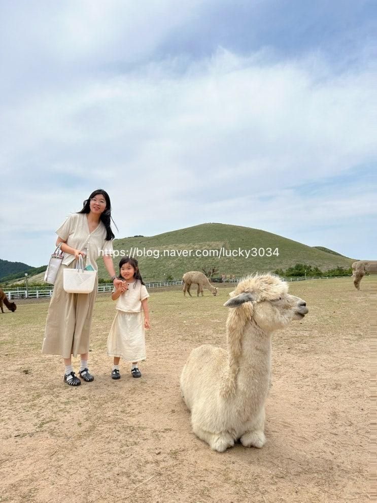 [제주 애월] 제주 서쪽 아이와 가볼만한 곳 새별프렌즈 동물원