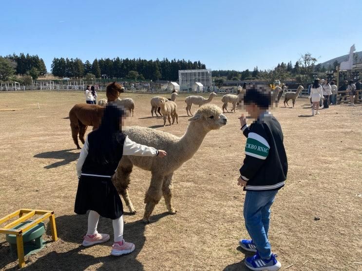 [제주도 여행지] 4월 아이들과 가볼 만한 곳 / 새별프렌즈