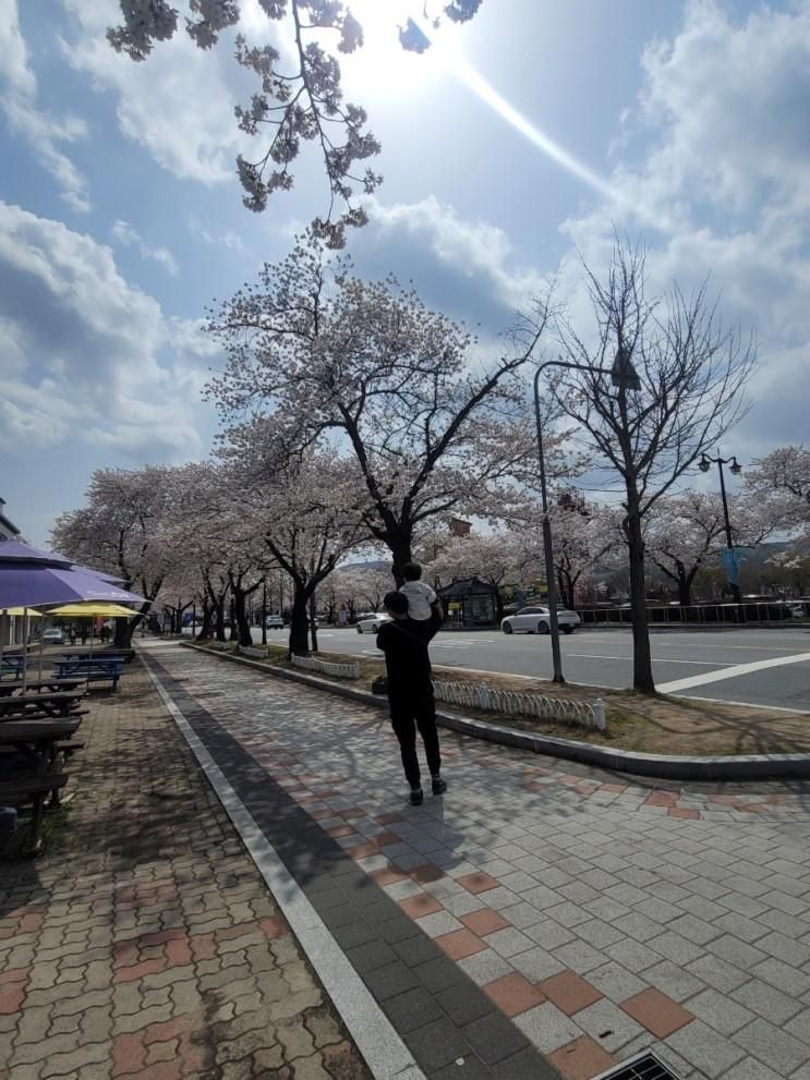 3.26~27  아이랑 경주 1박2일 여행 첫째 날 :)