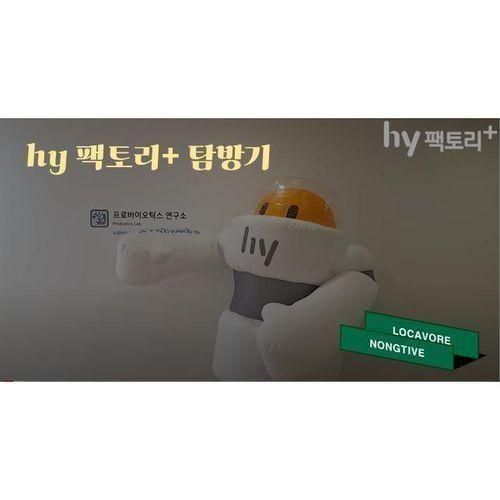 [기업탐방] hy팩토리+ 온라인견학 탐방기