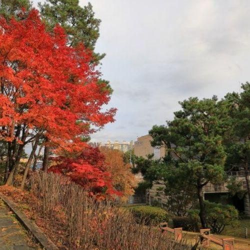 춘천시 - 국립춘천박물관(동제 염거화상 탑지)