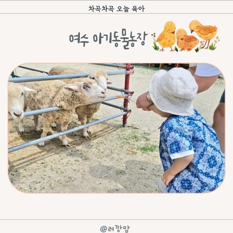 여수 동물원 아기동물농장 전남 체험학습 승마체험