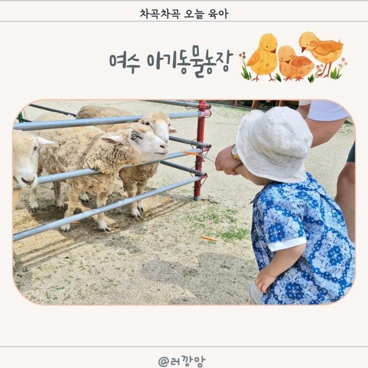 여수 동물원 아기동물농장 전남 체험학습 승마체험