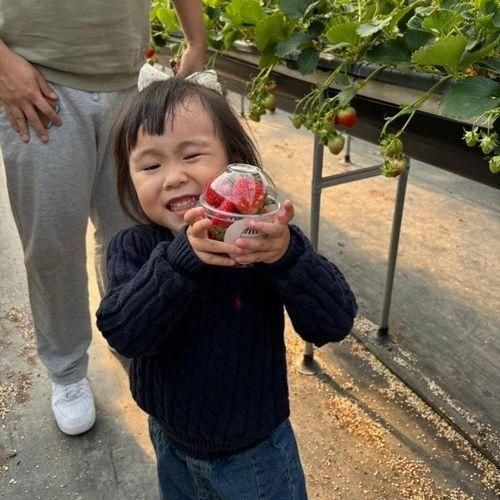 [용인]농장을담다(딸기&방토&키즈카페) 체험후기