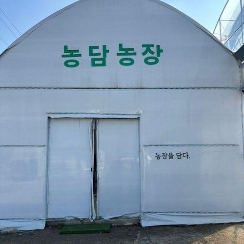 농장을담다/농담/용인딸기체험/아기랑체험할곳/솔직후기...