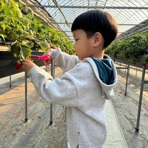 경기도 용인 아이랑 딸기농장체험 [농장을 담다]