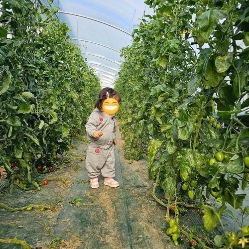 용인 '농장을 담다' 실내놀이터,  아기랑 농장체험