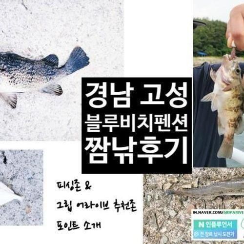 낚시여행 - 경남 고성 블루비치펜션 & 글램핑 낚시후기