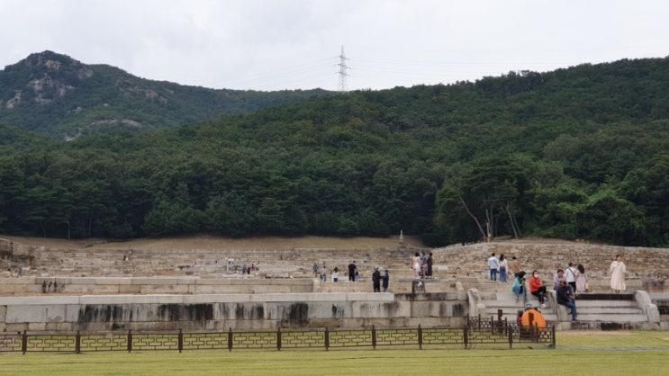 경기도 아이와 갈만한 곳/ 양주시립 회암사지 박물관