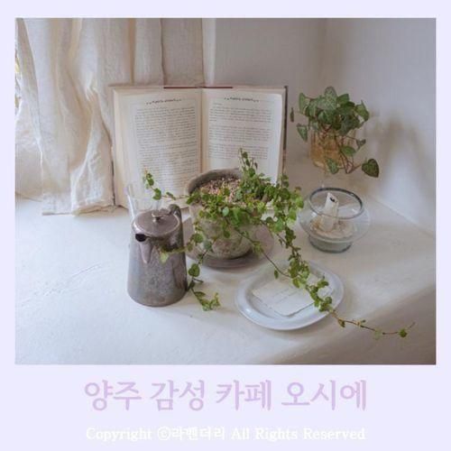양주 장흥 신상 카페 아이랑 감성있는 송추 오시에