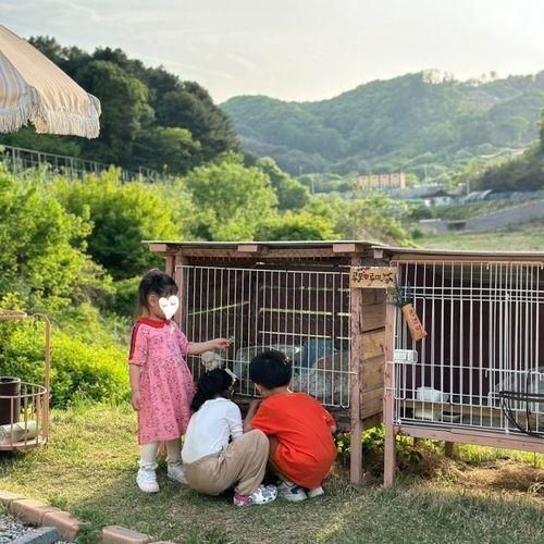 주말 양평 아이들과 놀기 좋은 독채, 루비숲 다녀왔어요