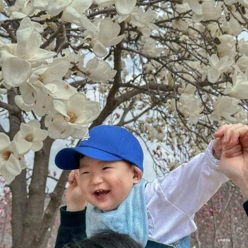 청도 목련카페 소우모우 대구근교나들이 가기 좋아요
