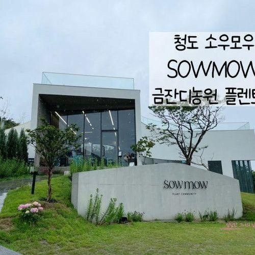 대구 근교 청도 소우모우 SOWMOW 식물복합공간카페