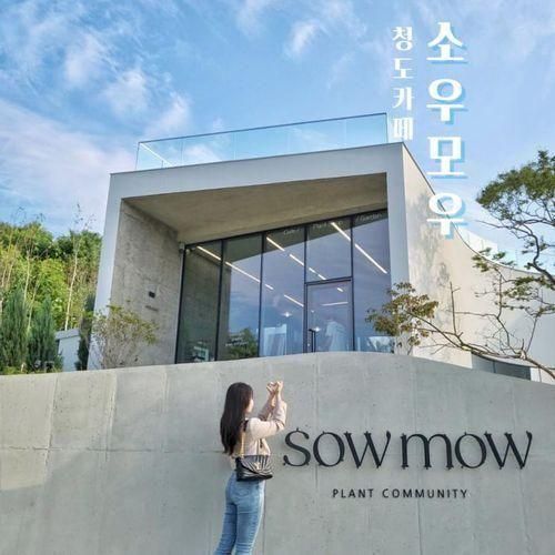 함께/연인과 함께 모두 추천하는 청도신상카페::소우모우(SOWMOW)