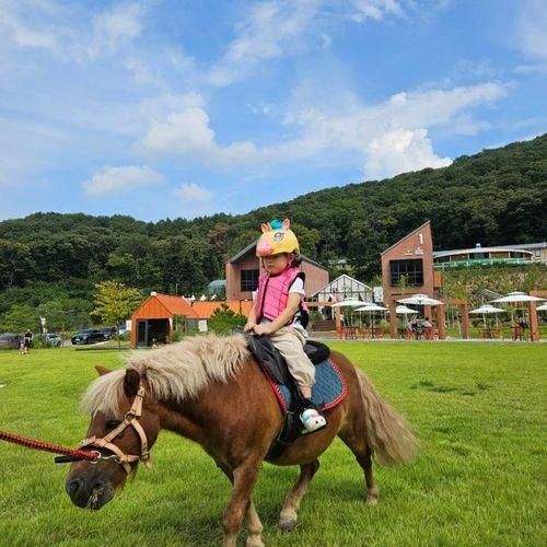 비스타밸리 냠양주 아이와가기좋은곳 승마와 아트스튜디오...