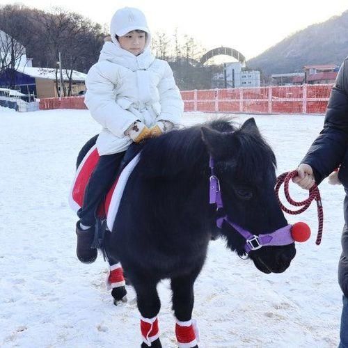 남양주 가볼만한 곳 포니와 함께하는 눈썰매장 비스타밸리