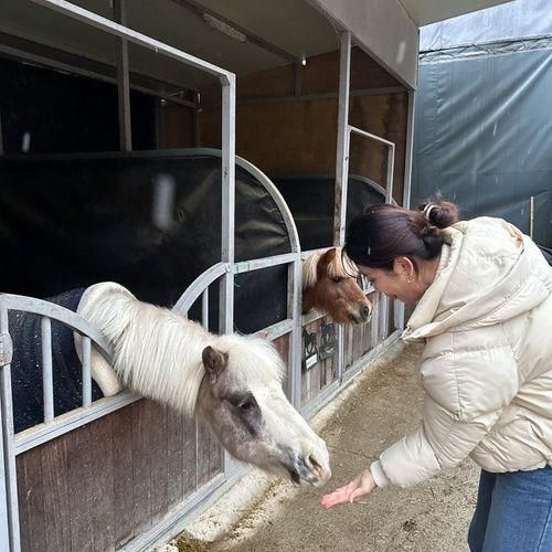 남양주 비스타밸리 승마체험 식사를 한번에 아이와 가볼만한곳