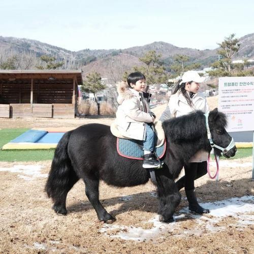 남양주 가볼만한곳 비스타밸리 아이랑 승마체험 맛집 데이트까지