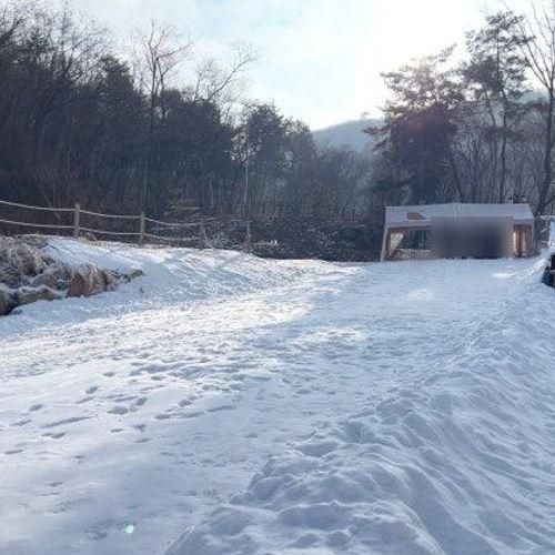 (경기/남양주) 아이 겨울방학 야외 눈썰매 타러 가기-비스타 밸리