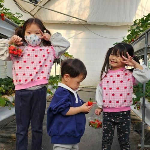 아이와 평택 딸기체험농장 가성비 키즈카페 꿈꾸는 키즈팜