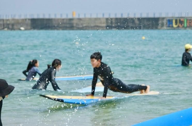 양양 어린이서핑 추천 : 팜서프