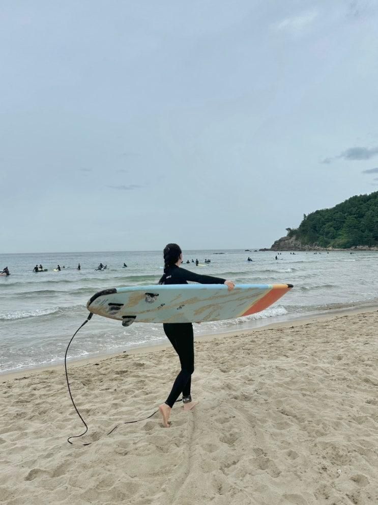 양양 서핑체험ㅣ설악해변 서핑, 팜서프