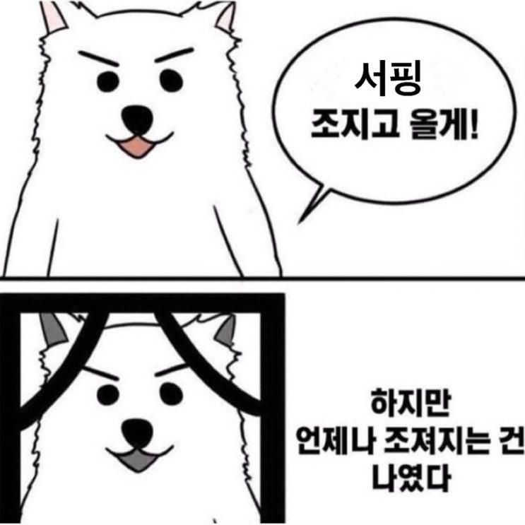 먹방으로 끝나는 강원도 여행) 4. 서핑을 배우다 ; 양양 팜서프