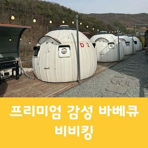 천안 글램핑 감성 야외 바베큐 비비킹