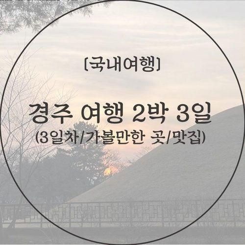 [국내여행/경주] 뚜벅이 경주여행 2박 3일(3일차/가볼만한 곳...