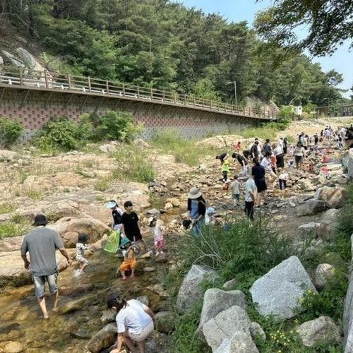 서울 근교 계곡 카페 :: 고양 포시즌어데이 주말 방문후기...