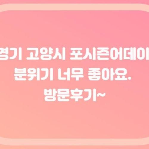 경기 고양시 포시즌어데이 분위기 너무 좋아요. 방문후기~