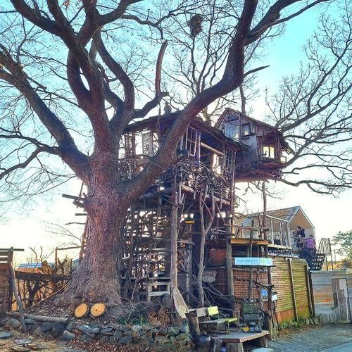 김제여행 가볼만한곳 : 동화같은 카페 <미즈노씨네 트리하우스>