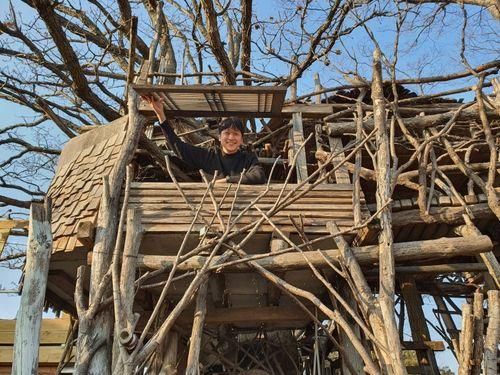 김제 가볼 만한 여행지 추천 : 미즈노씨네 트리하우스 (김제 예쁜 카페) 🌳