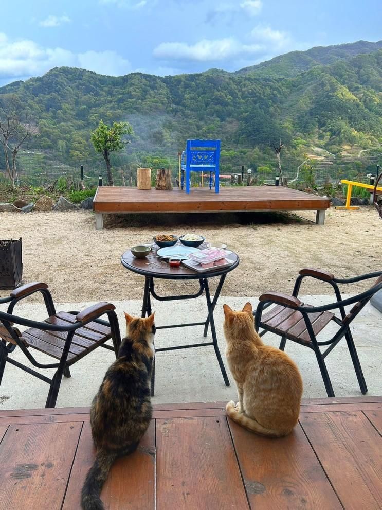 [경남/함양] 지리산뷰 반디스테이-별바라기2 내돈내산100...