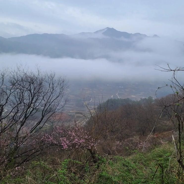 봄비 내린 지리산반디 스테이