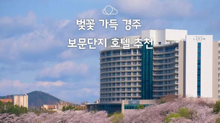 경주 보문단지 벚꽃 호텔 추천!(경주 힐튼호텔, 경주 라한셀렉트...