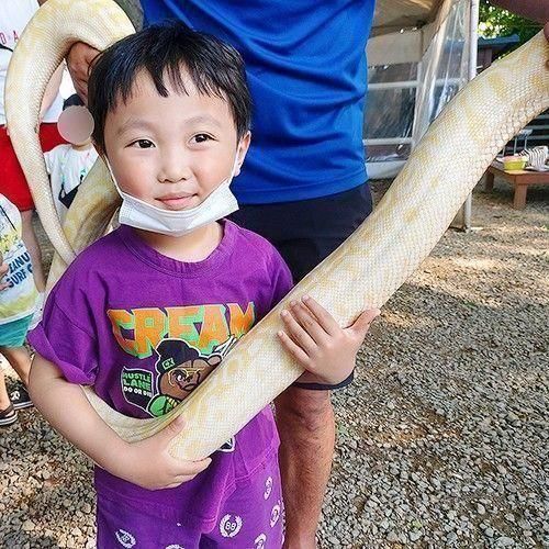 평택 아이와 가볼만한곳, 동물먹이주기 바베큐도 가능한 평택 소풍동물원