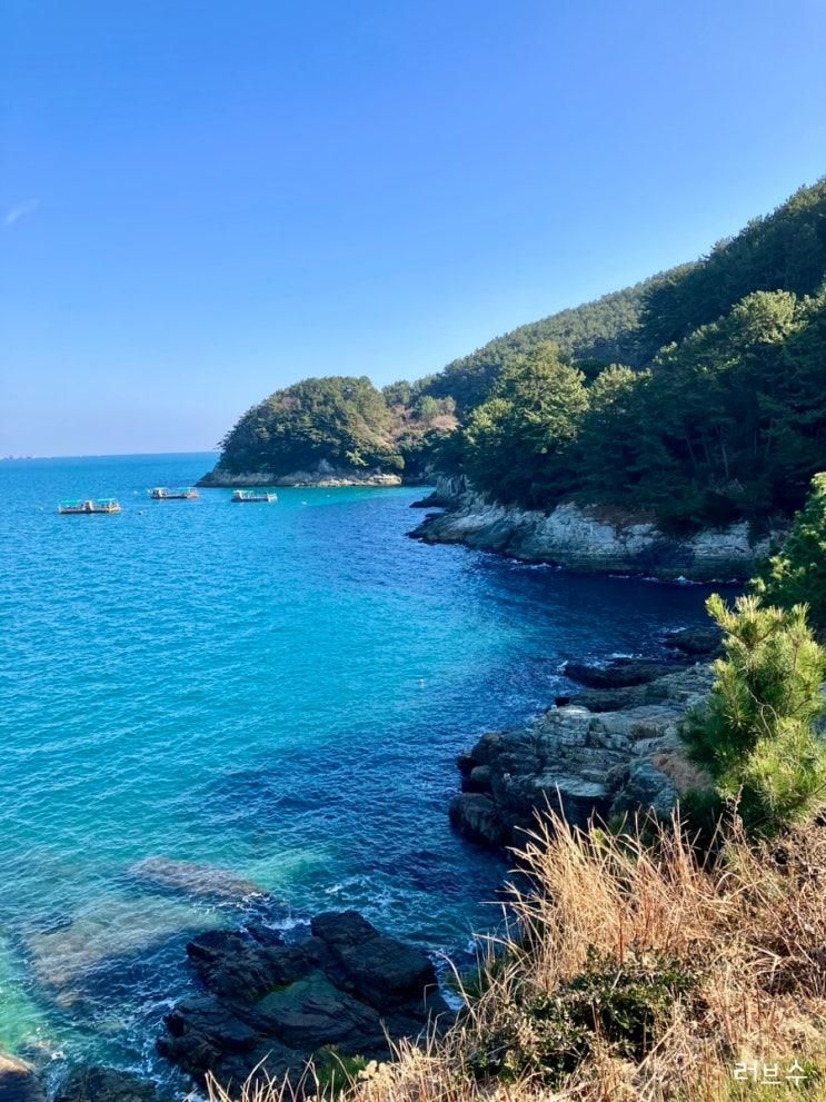 거제 바람의 언덕, 바람의 핫도그, 아이와 가볼 만한 곳, 거제...