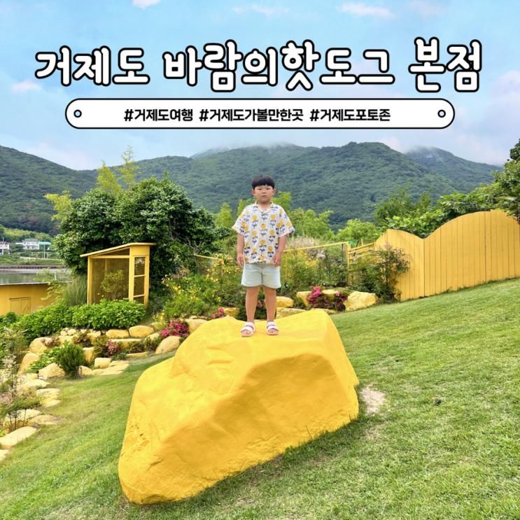 거제도 바람의핫도그 본점 노랑버덩 텔레토비동산 포토존