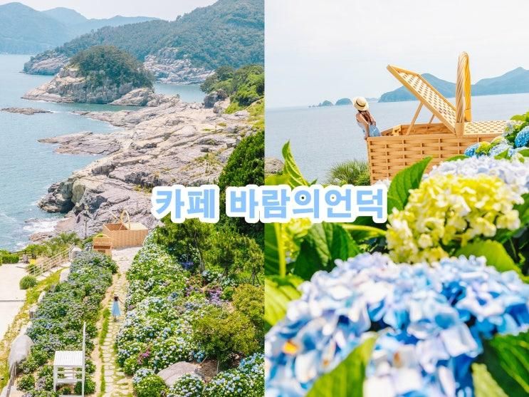 거제수국 카페 바람의 언덕 수국 브런치 거제수국축제 거제카페