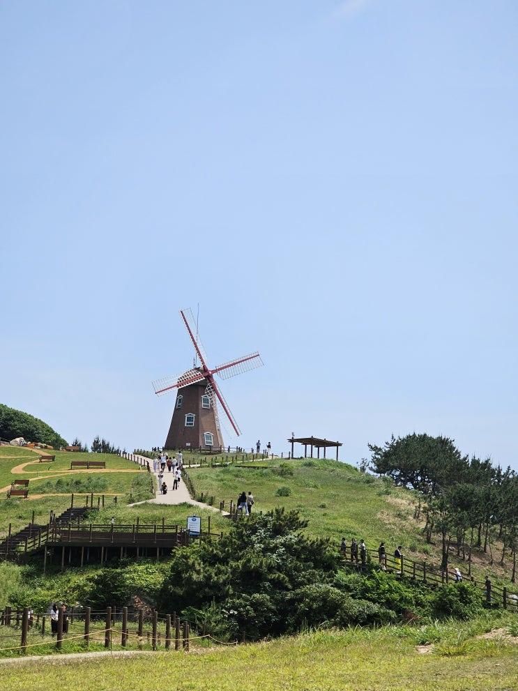 거제도 가볼만한 곳 바람의 언덕 주차장