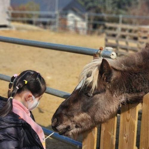 용인곤충테마파크 아이랑 두 번째 방문.