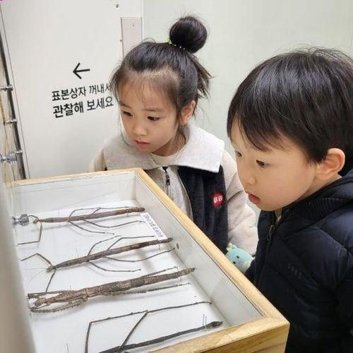 [일상수집]용인곤충테마파크, 돈까스가 맛있는 대형카페 언톨드