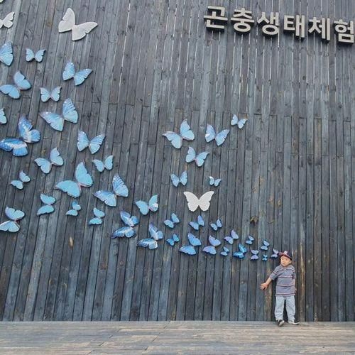 용인 곤충 테마파크 곤충 박물관 (24.05.26)