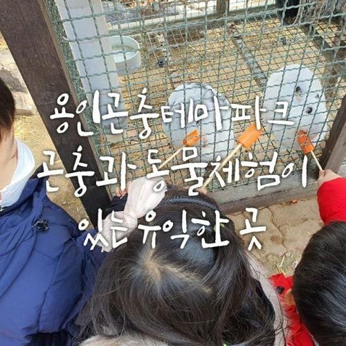 용인 곤충테마파크 방문 후기(feat.용인아침딸기농장)