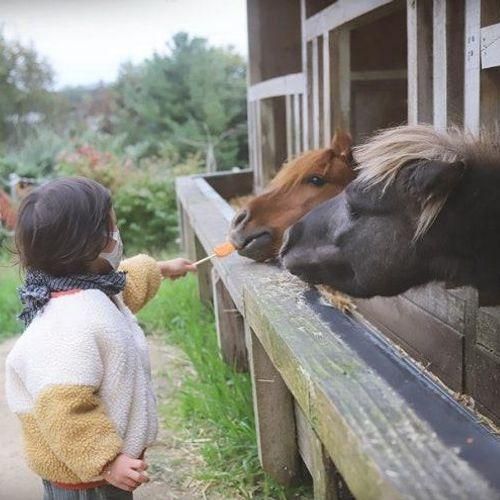 [38개월아기] 용인 곤충테마파크 동물먹이주기 체험도 할 수...