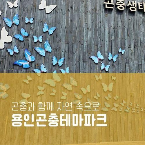 [용인] 44개월×18개월 아기랑 : 용인곤충테마파크 (2023.8.15)