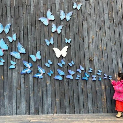 용인 곤충박물관 용인곤충테마파크 + 동물도 있어요!