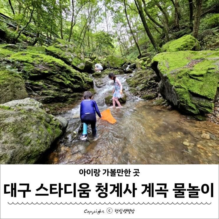 대구 수성구 아이랑 가볼만한곳 청계사 계곡 물놀이